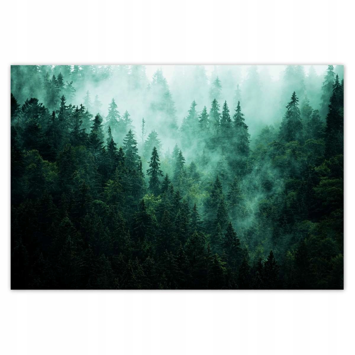 Plakáty 200x135 Les Mlha Krajina Cestování