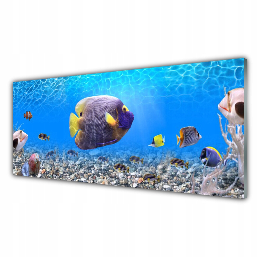 

Fotoobraz wiszący z nadrukiem 125x50 Ryba Natura