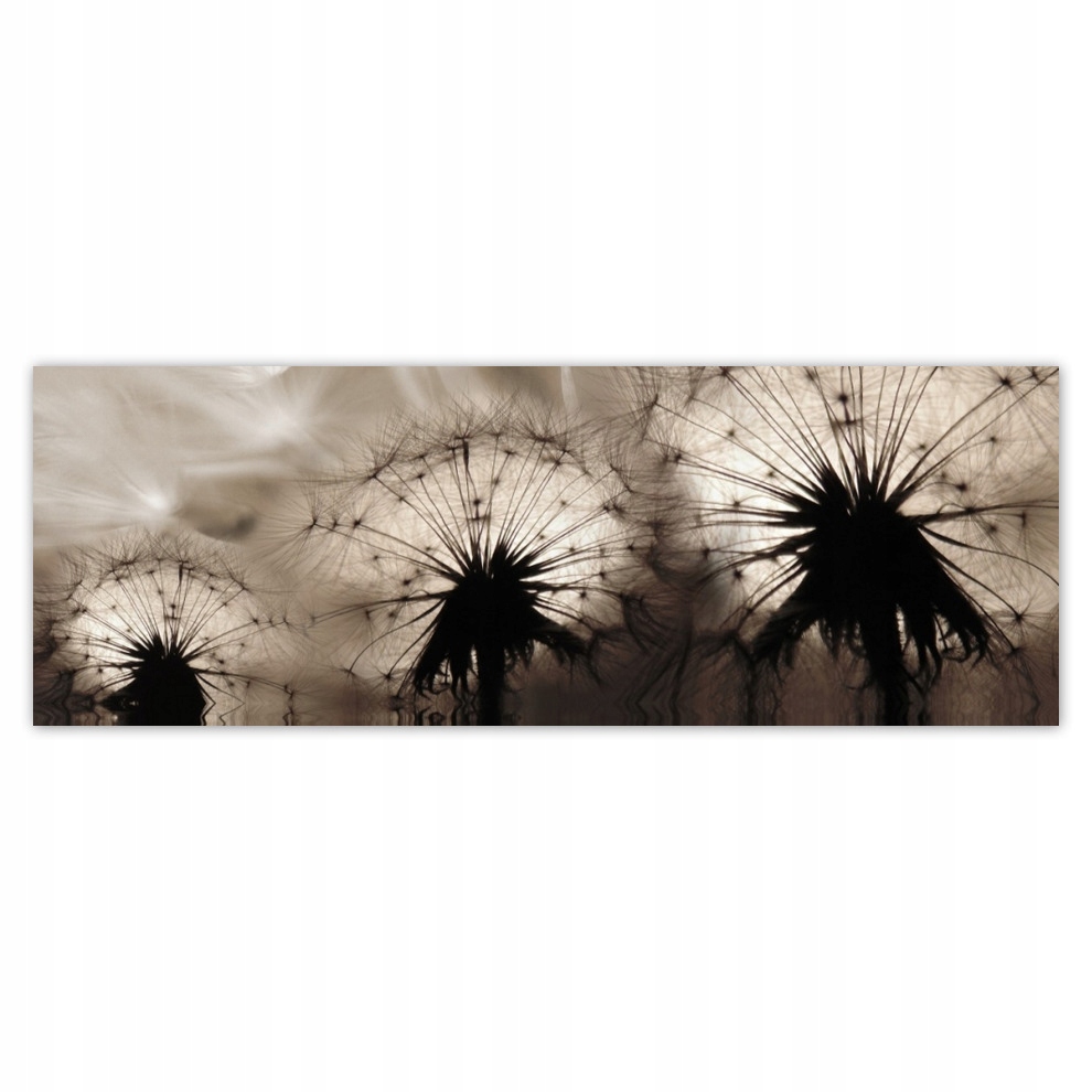 

Fototapety flizelina 624x219 Dmuchawce