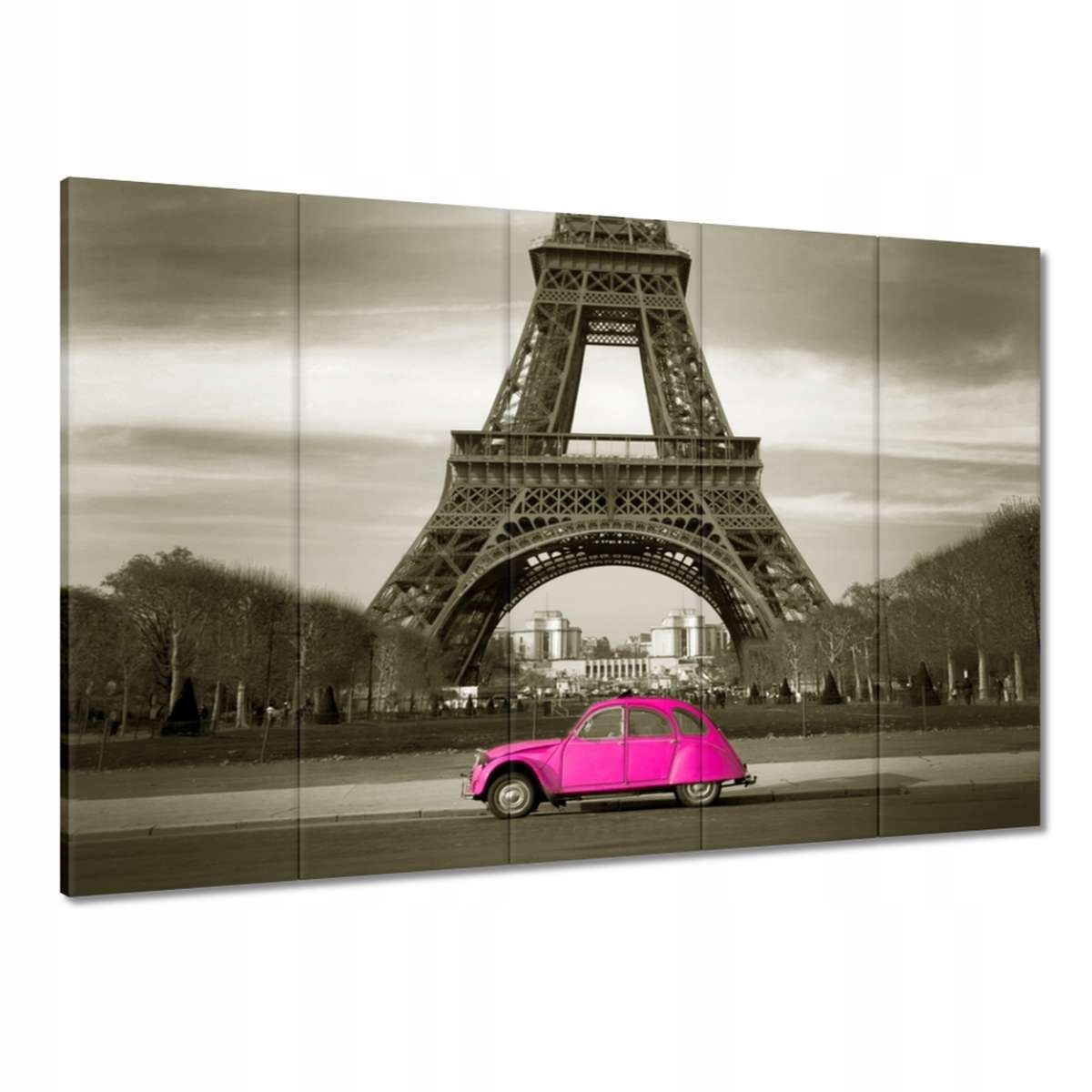 Obrazy 100x70 Růžový Citroen v Paříži
