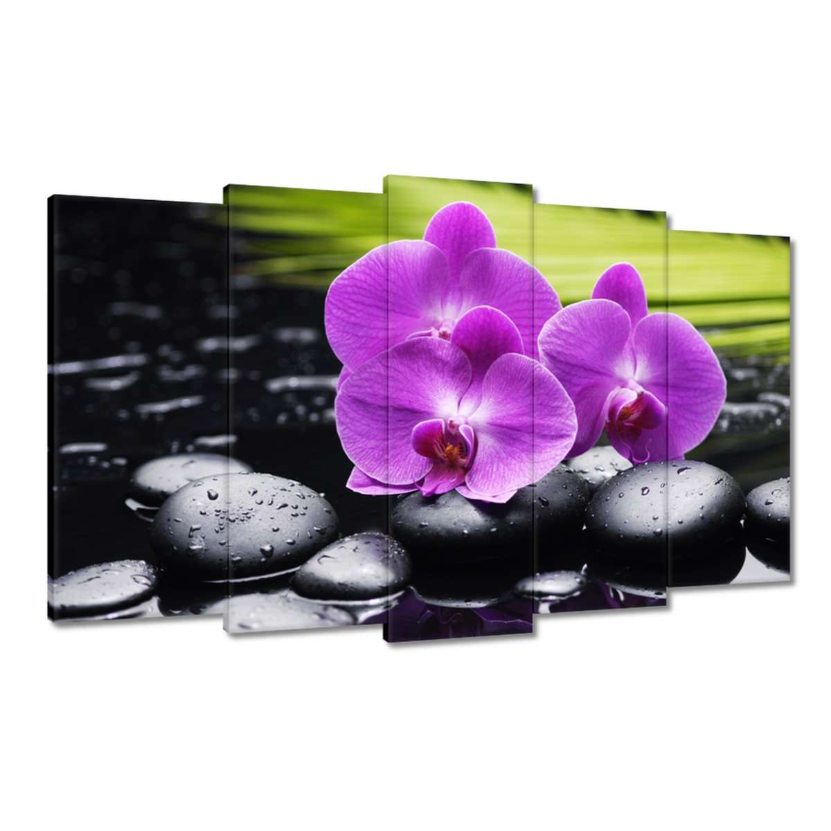 Obrazy 100x60 Orchidej na kamenech