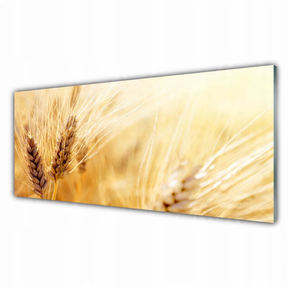 

Fotoobraz z grafiką 125x50 Pszenica Roślina Natura