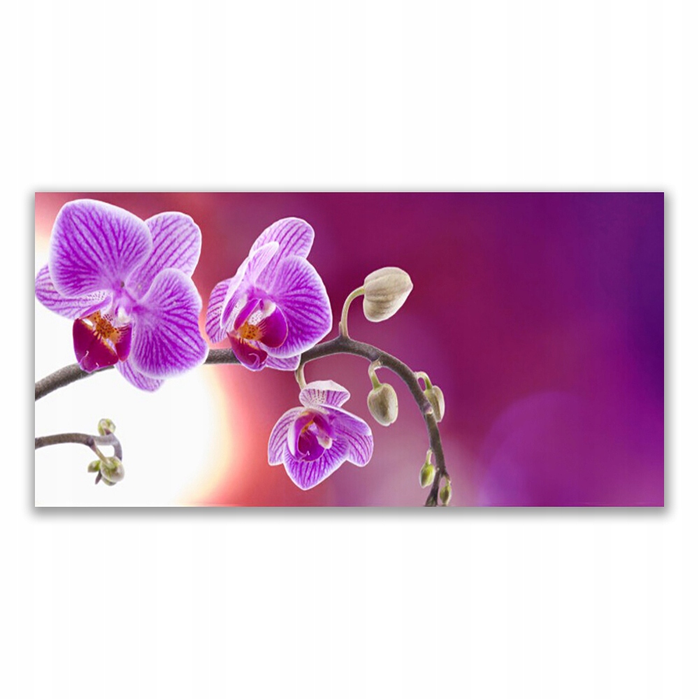 

Obraz akryl z grafiką 140x70 Kwiaty Roślina Natura