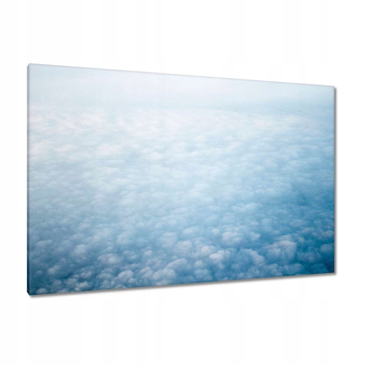 Obrazy 120x80 Květiny Květiny