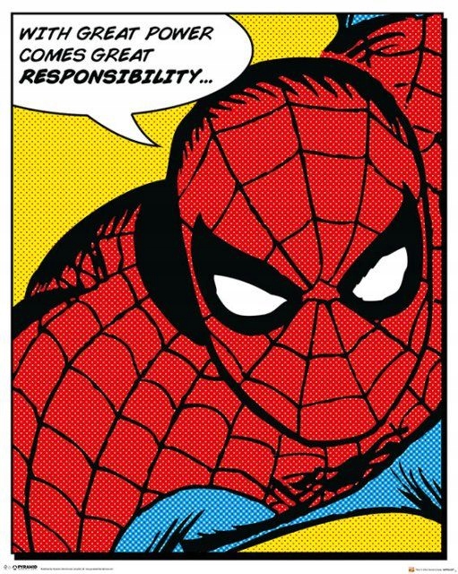 

Spiderman plakat na ścianę dla dziecka 40x50 cm