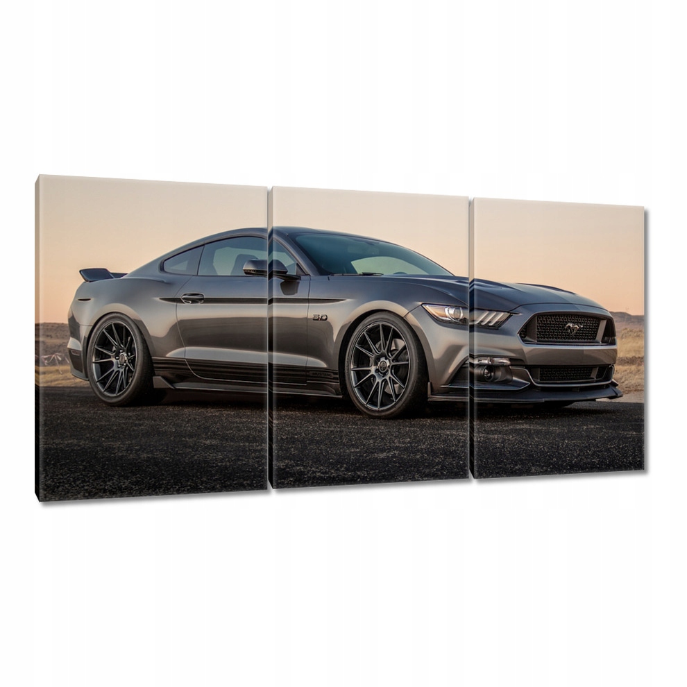 

Obrazy 120x60 Ford Mustang made in Usa