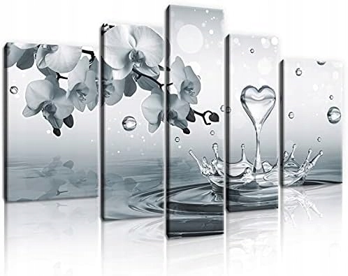 Obraz 170x100 Biela orchidea kvapky vody pokoj elegancia príroda umenie