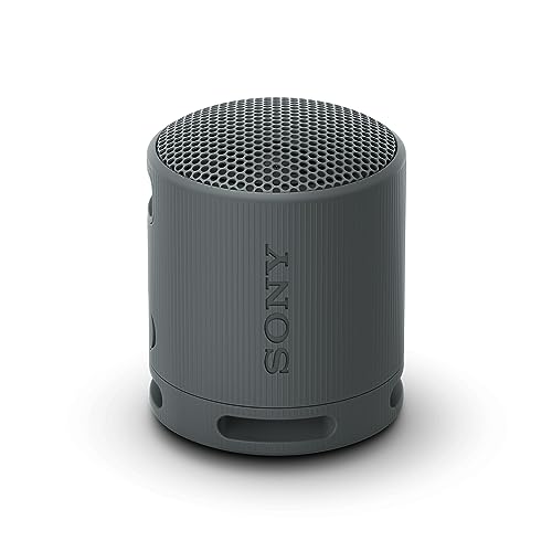Sony SRS-XB100 Przenośny Głośnik Bluetooth Wodoodporny IP67 16h Czas Pracy