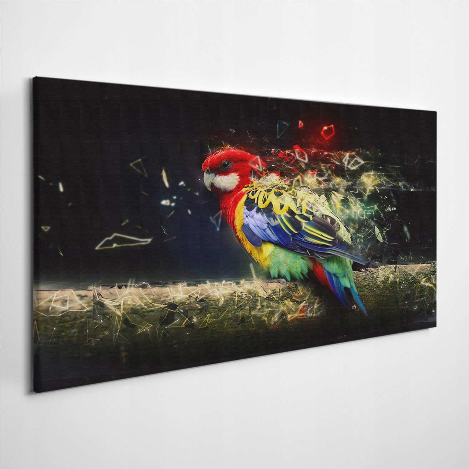 

Obraz na płótnie Papuga Abstrakcja Plaża 100x50 cm
