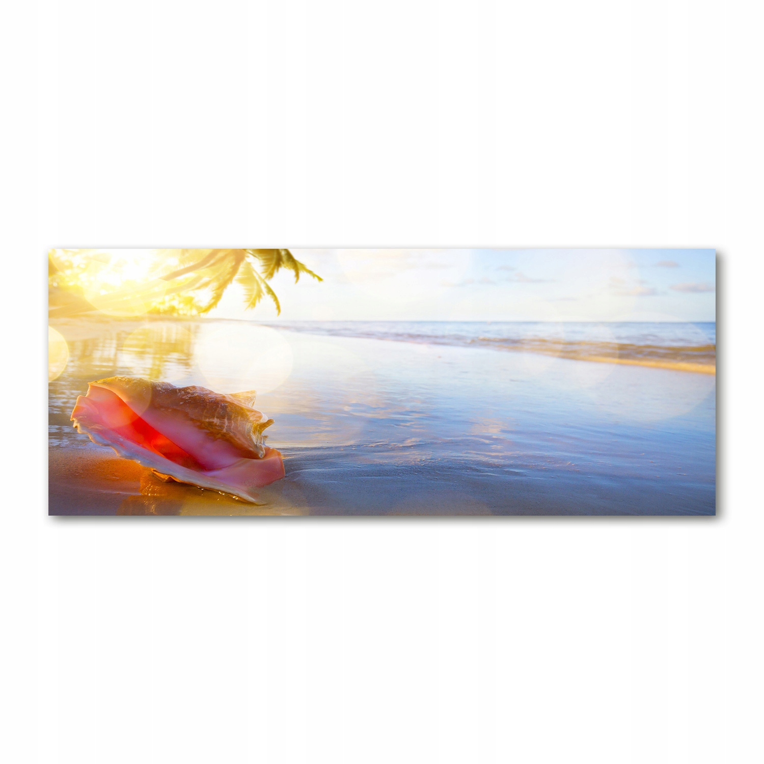 

Foto obraz akryl zdjęcie Muszla na plaży 125x50 cm