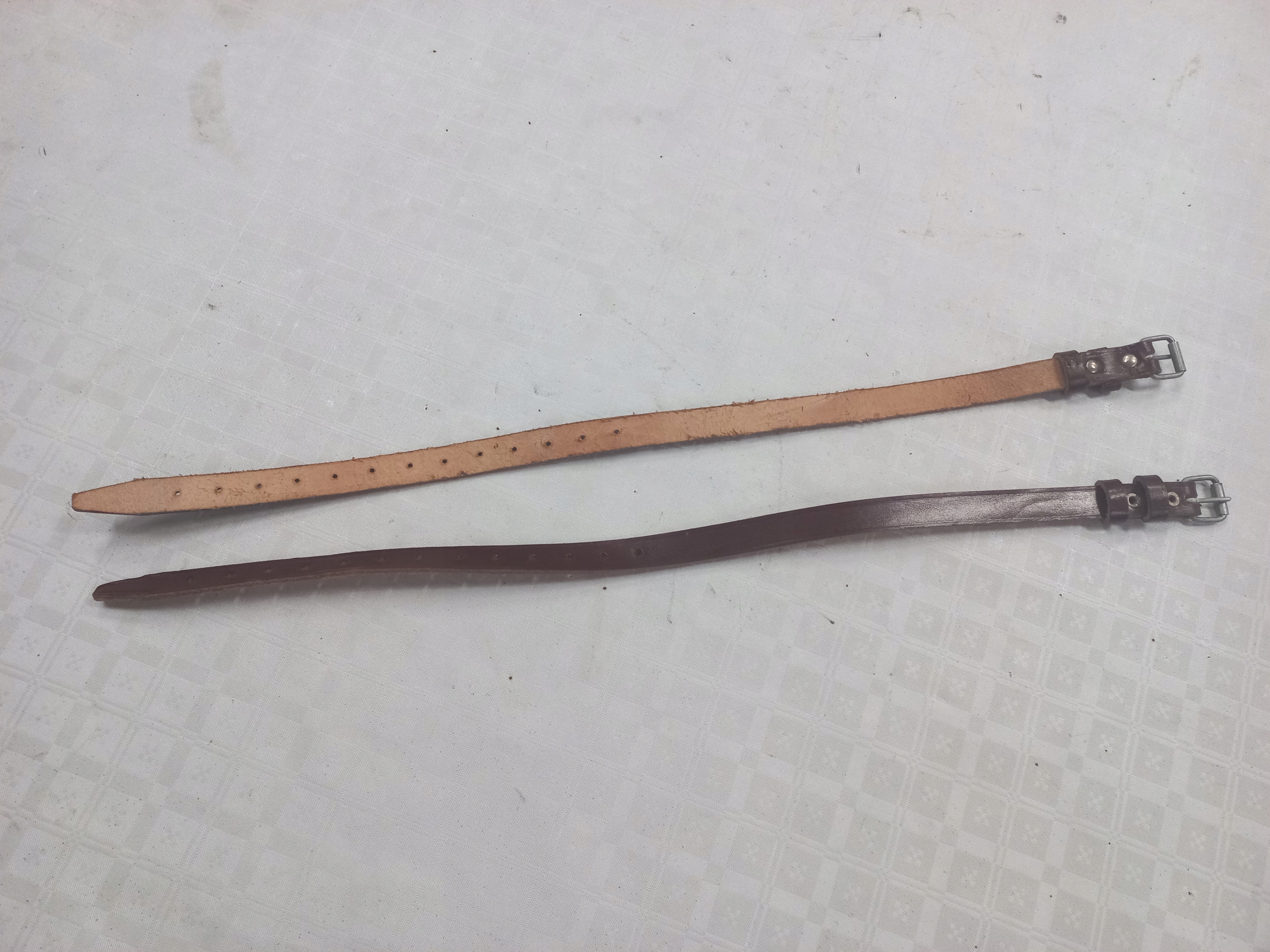 Pasek Bagażnika Komar Sztywniak Paski Skóra Żak Ryś