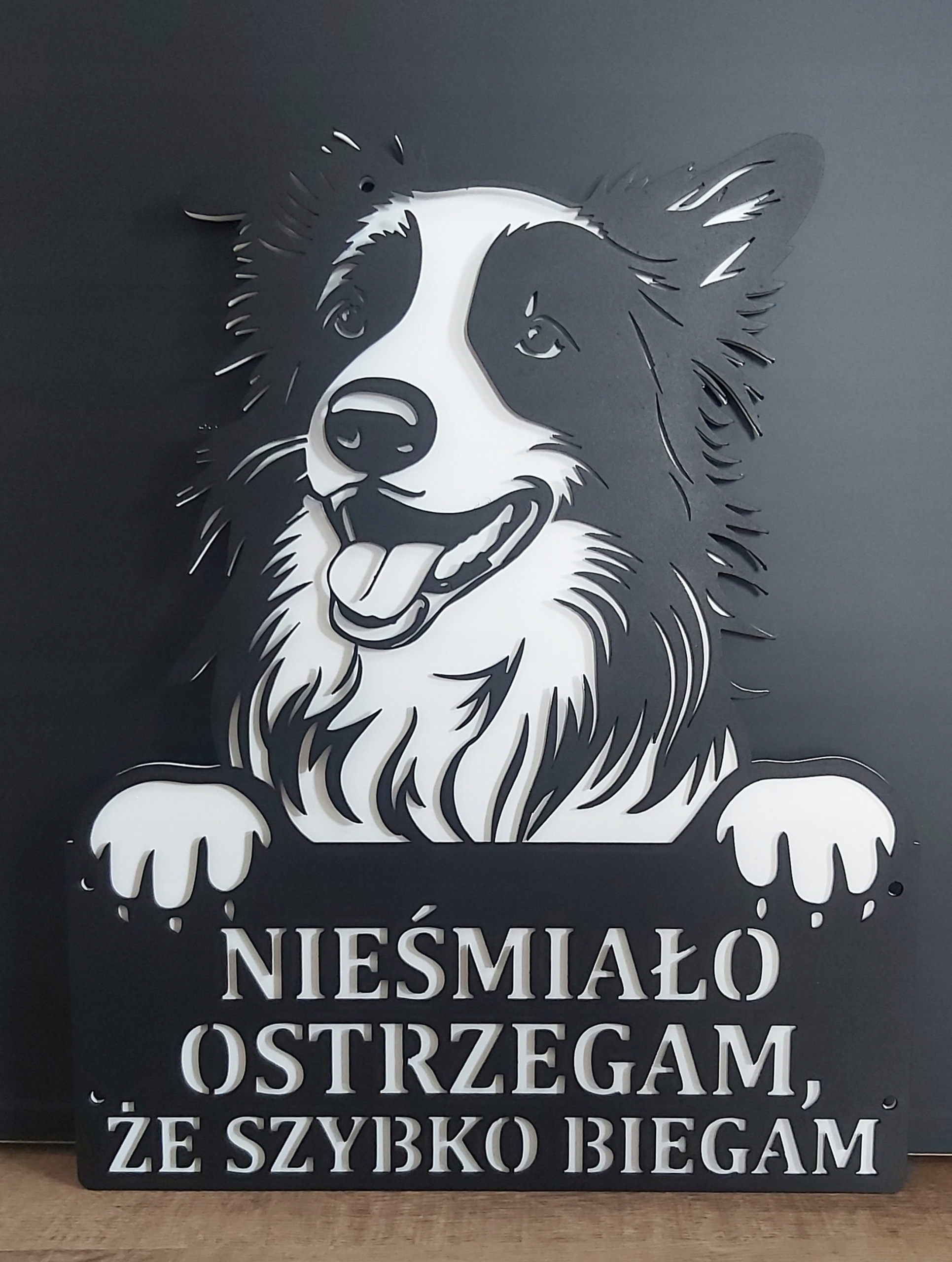 Kovová Tabulka Pes na branku oplocení Border Collie 40