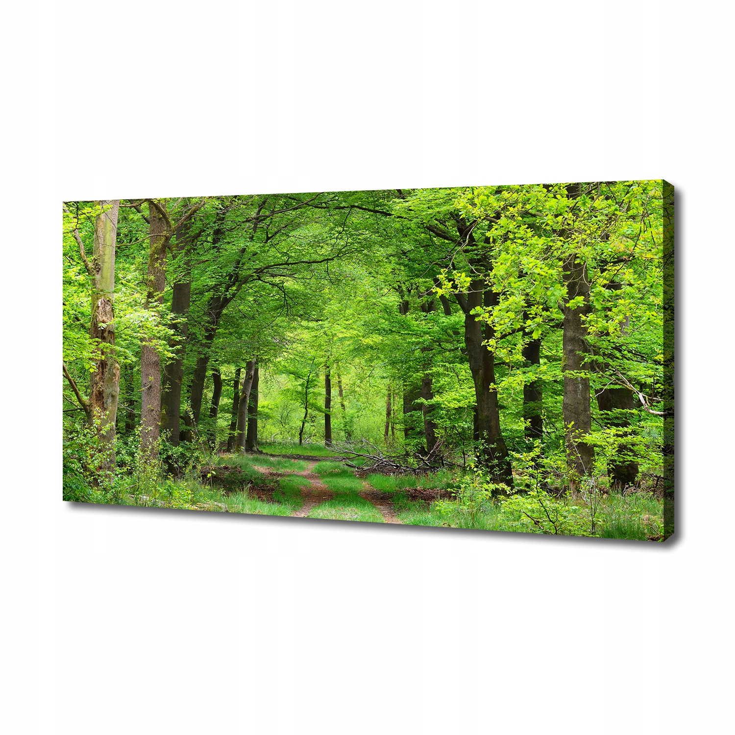 

Foto obraz duży na płótnie Wiosenny las 140x70 cm
