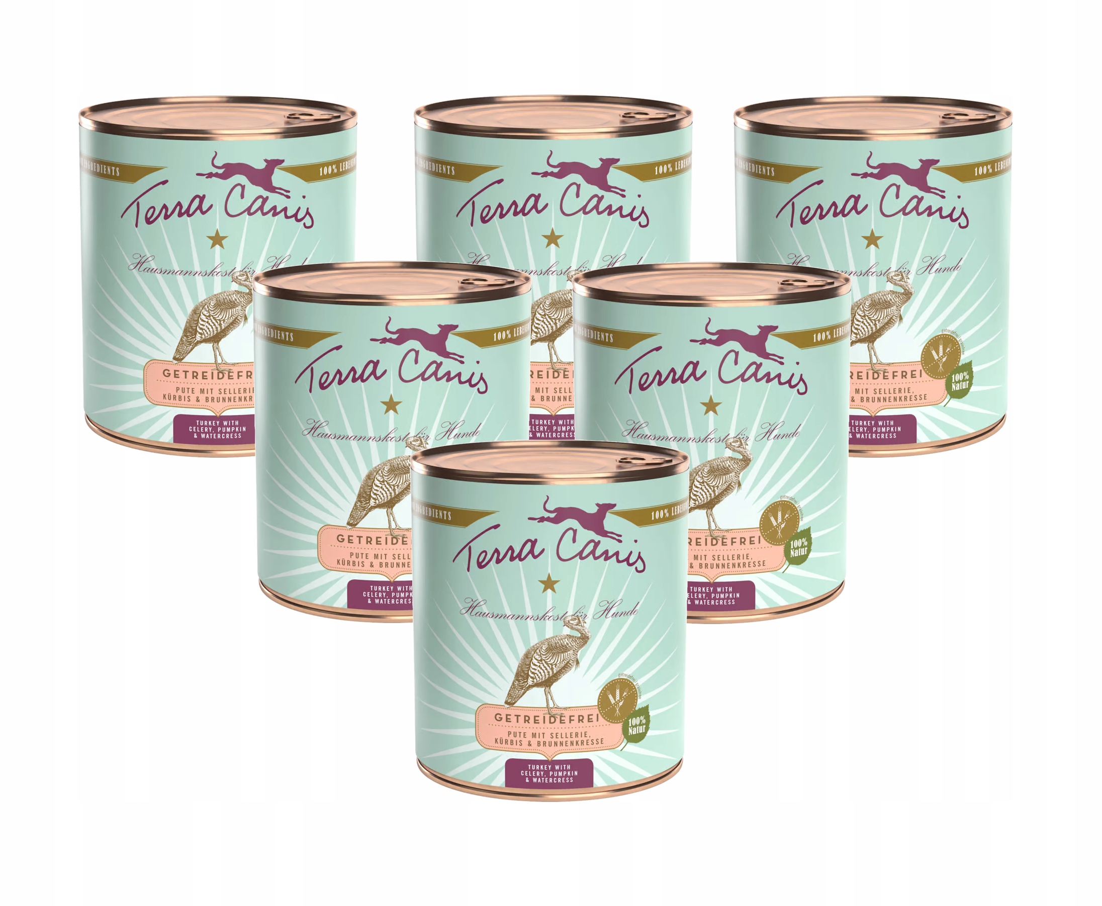 Terra Canis – Krůta s celerem, dýní a řeřichou 6 x 800 g