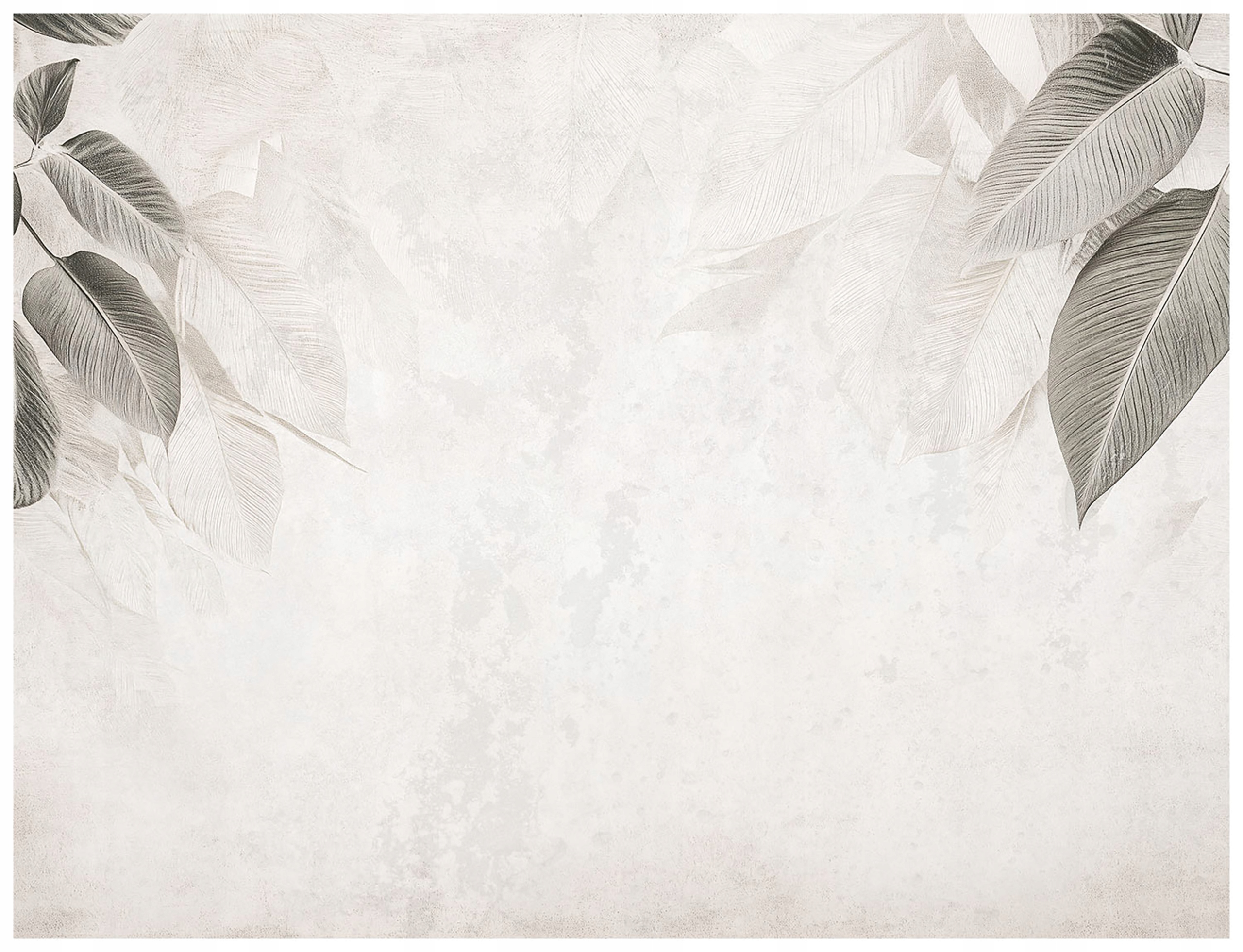 Jemné listy Vliesová fototapeta na zeď Elegance 460x300 lepidlo