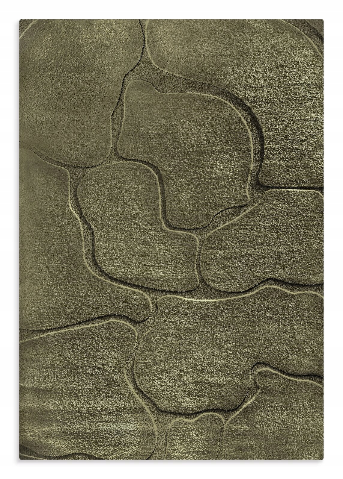 Dywan ALBA6 Oliv 160 X 230 CM Oliwkowy