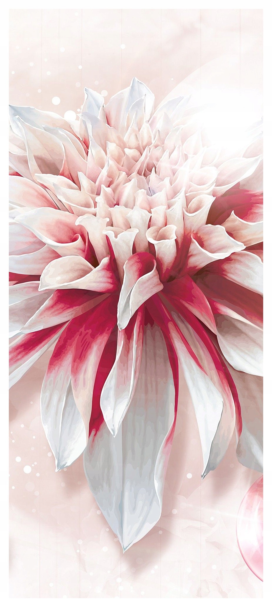 Samolepka Fototapeta Růžová Jiřina Jemné měkké okvětní lístky bokeh 91x211