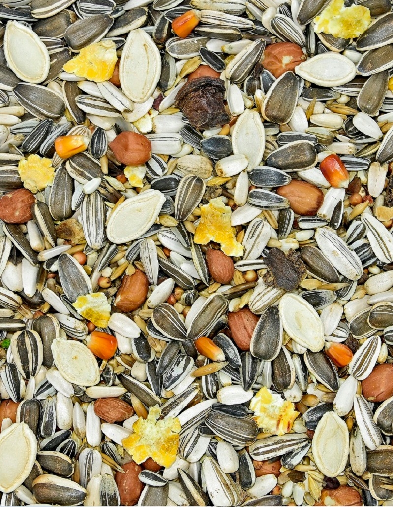 MDM Karma dla dużych papug 1kg