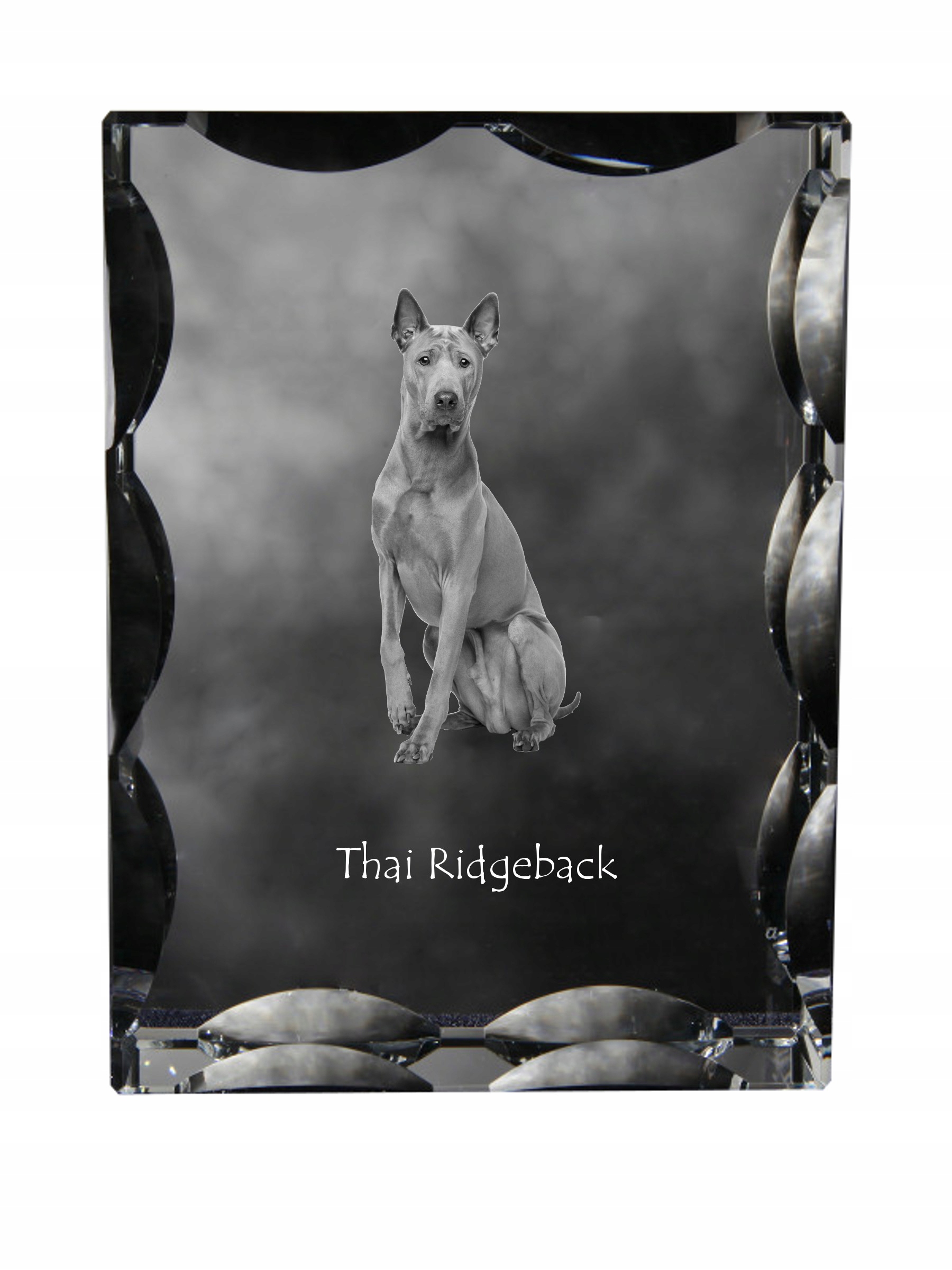 Thai Ridgeback fotografia psa v ozdobnom kryštáli, suvenír, dekorácia domu
