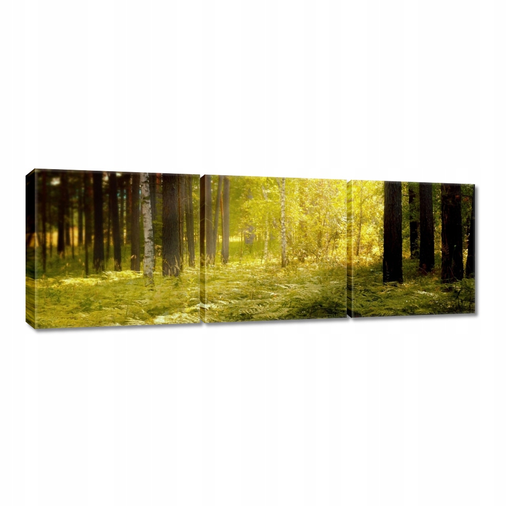 

Obrazy 60x20 Wchód słońca w lesie