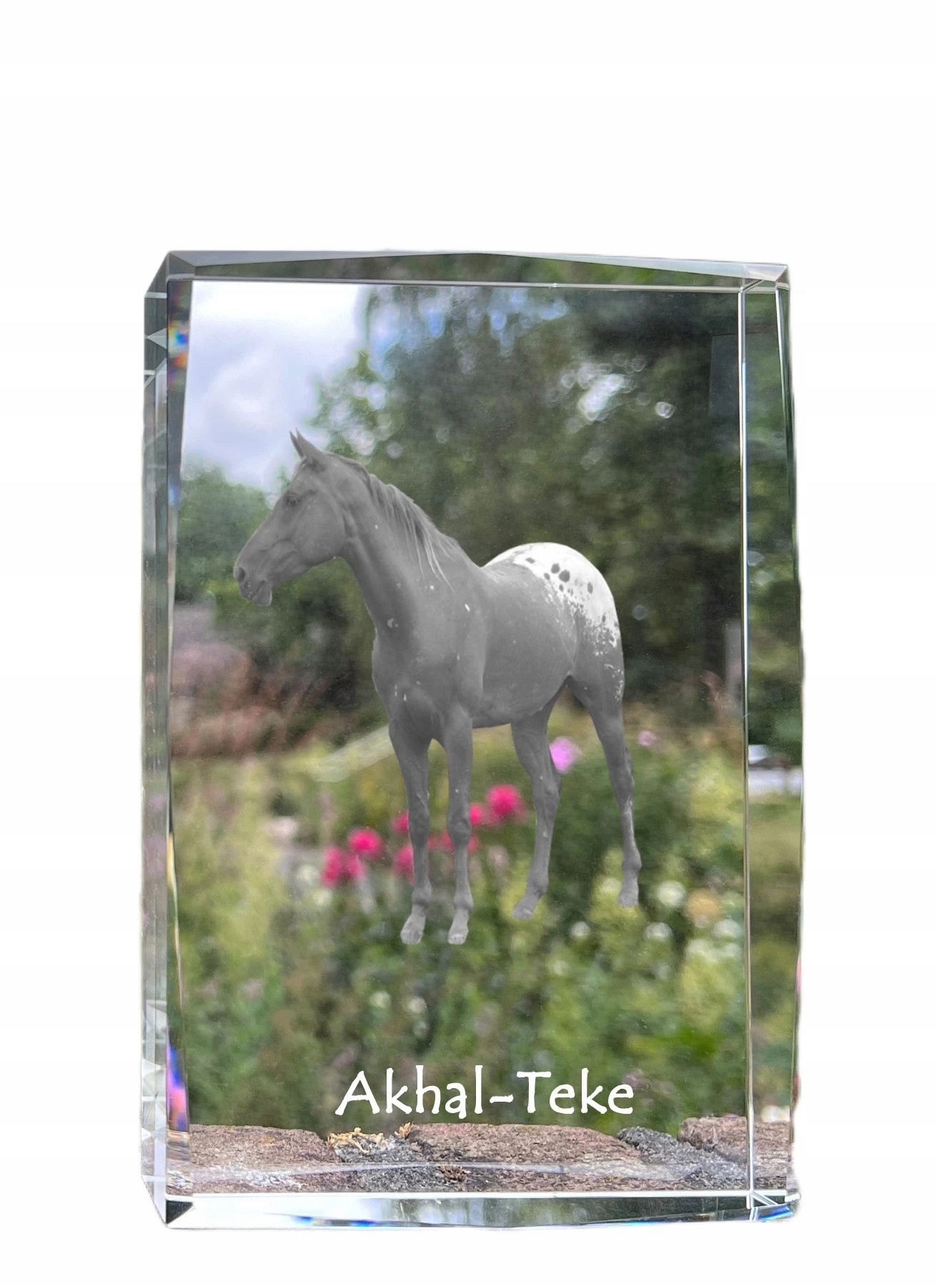 Kôň Akhal-Teke fotografia v kryštáli, suvenír, trofej, poďakovanie