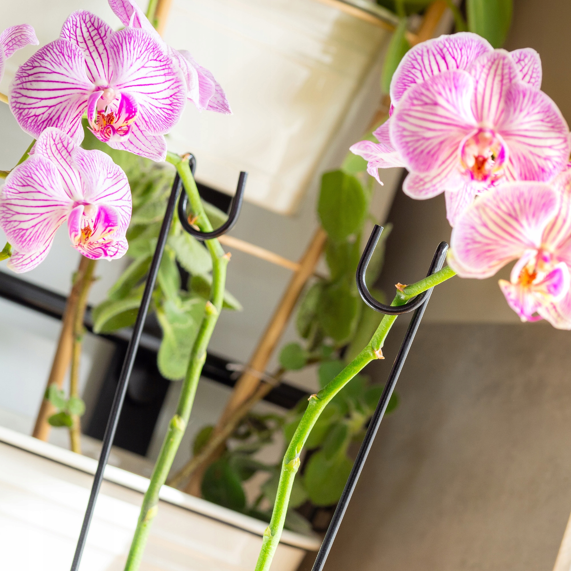 PODPÓRKA DO STORCZYKÓW PODPORA ROŚLIN 10szt 50cm Rodzaj tyczka