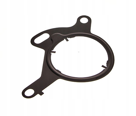 DR. MOTOR USZCZELKA POMPY PODCIŚNIENIA FORD FIESTA 1,6ST 16-