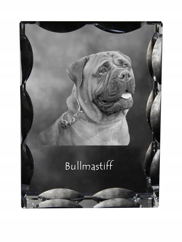 Bullmastiff fotografia psa v ozdobnom kryštáli, suvenír, dekorácia domu