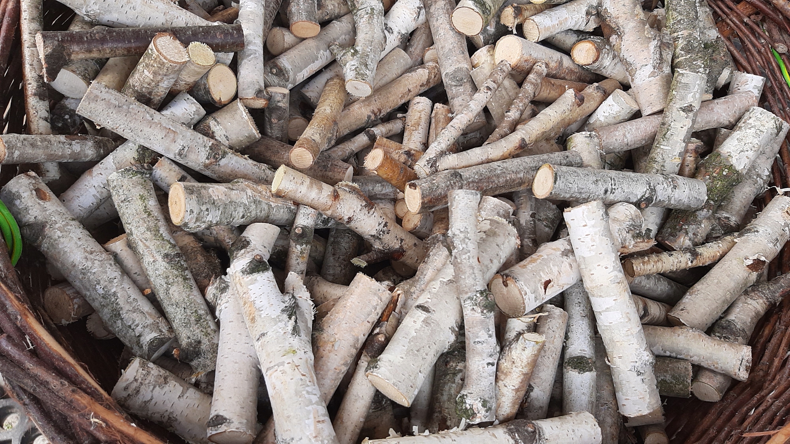 

Patyki, gałęzie brzoza dekoracje 15cmx2-4cm 100szt