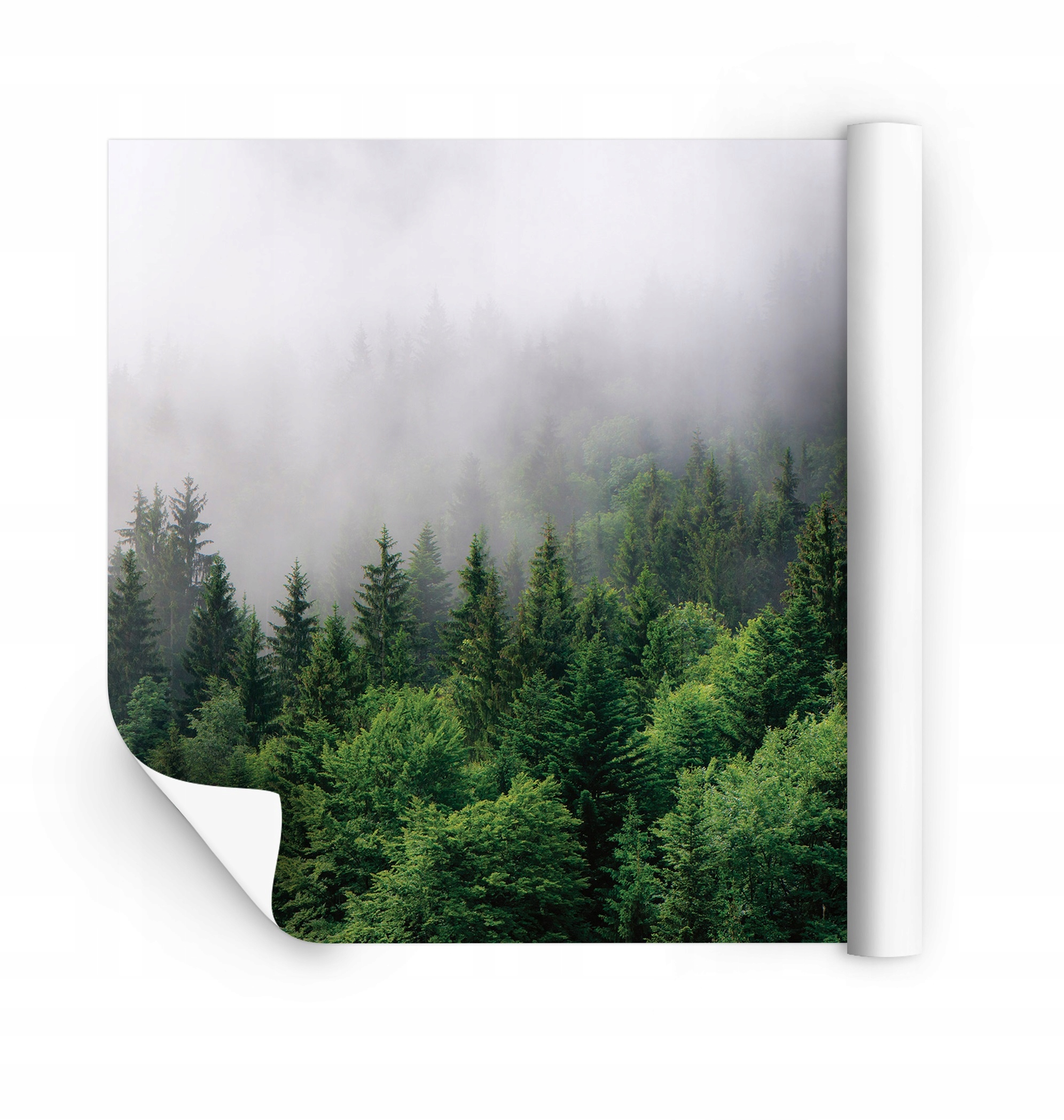 

Fototapeta Na Wymiar 3D Do Salonu Sypialni Tapety