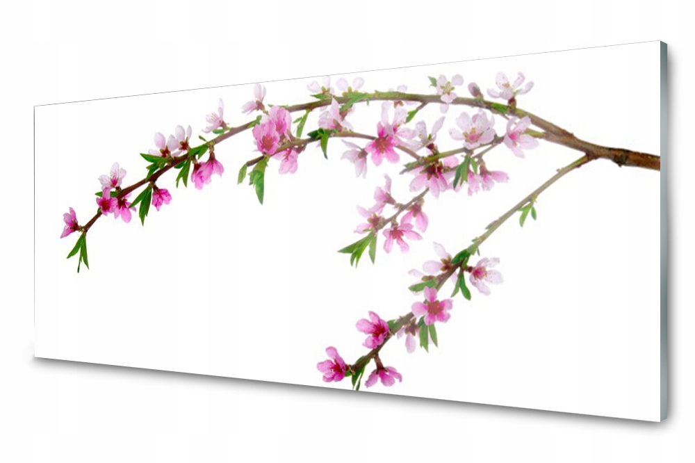 

Panel szklany do kuchni Gałąź Kwiat 125x50