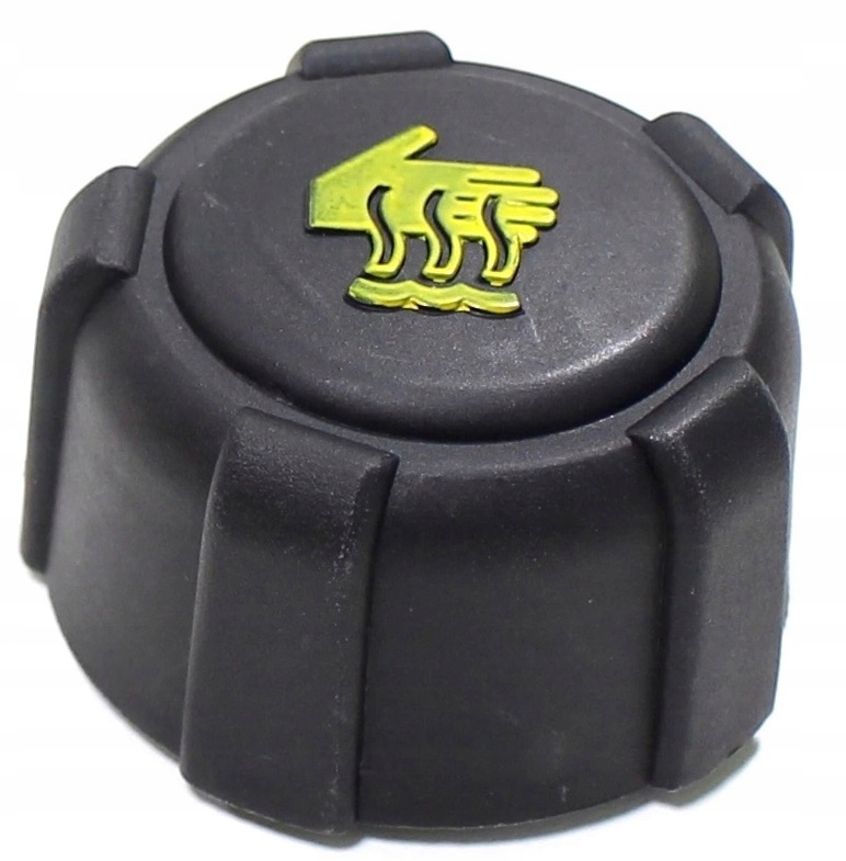 ZBIORNICZEK WYRÓWNAWCZY + KOREK RENAULT SCENIC I 1 Producent części goRabbit