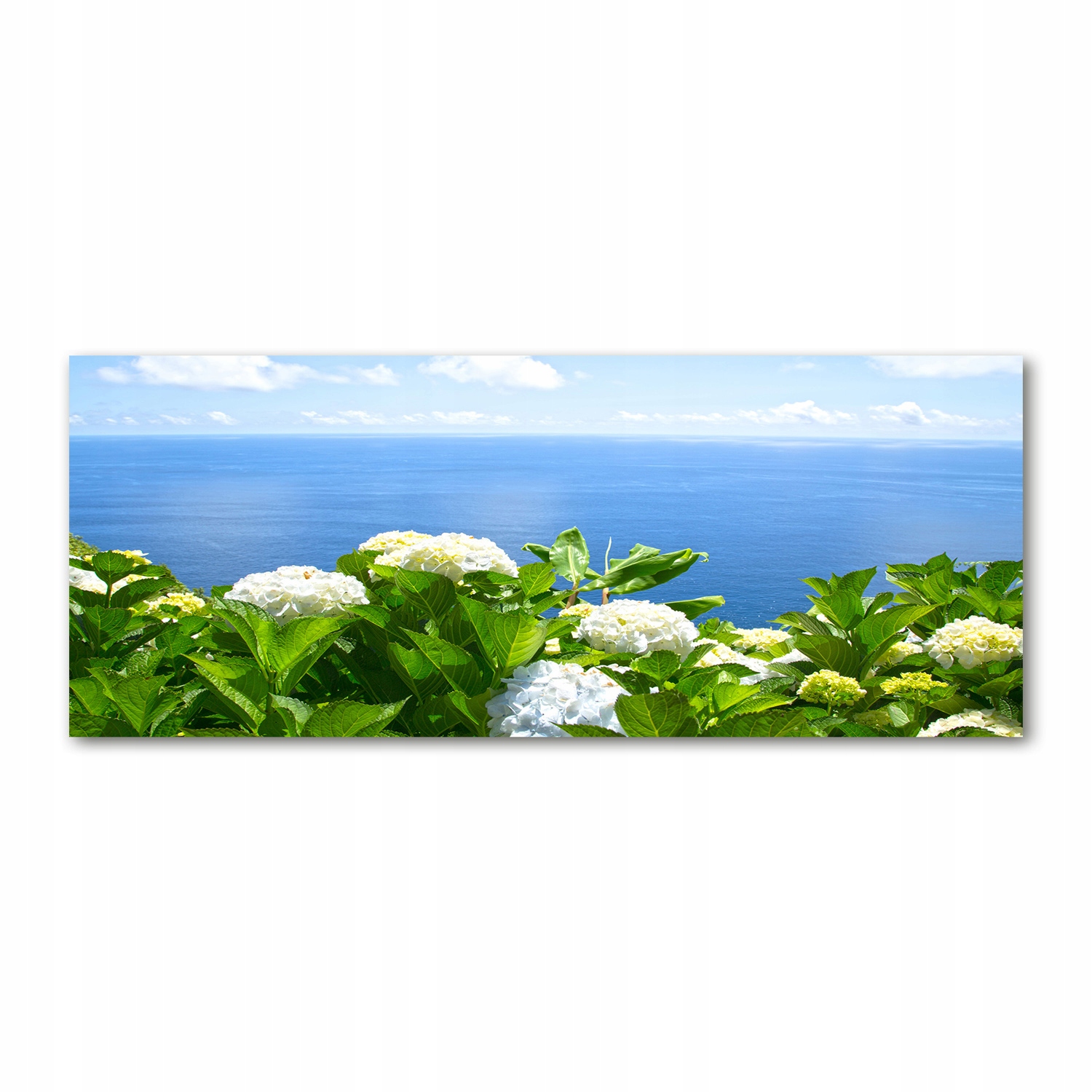 

Foto obraz szkło akryl Kwiaty nad morzem 125x50 cm