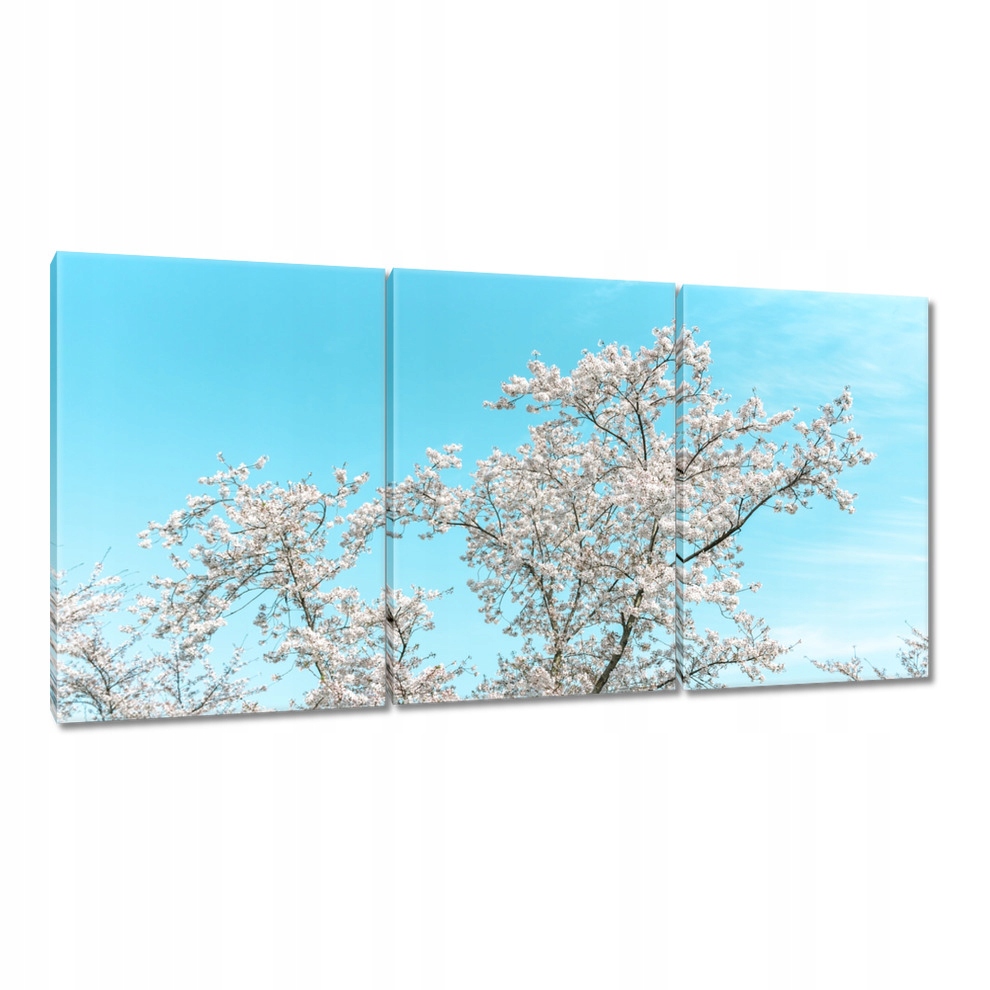 

Obrazy 120x60 Delikatne kwiatki Wiosna