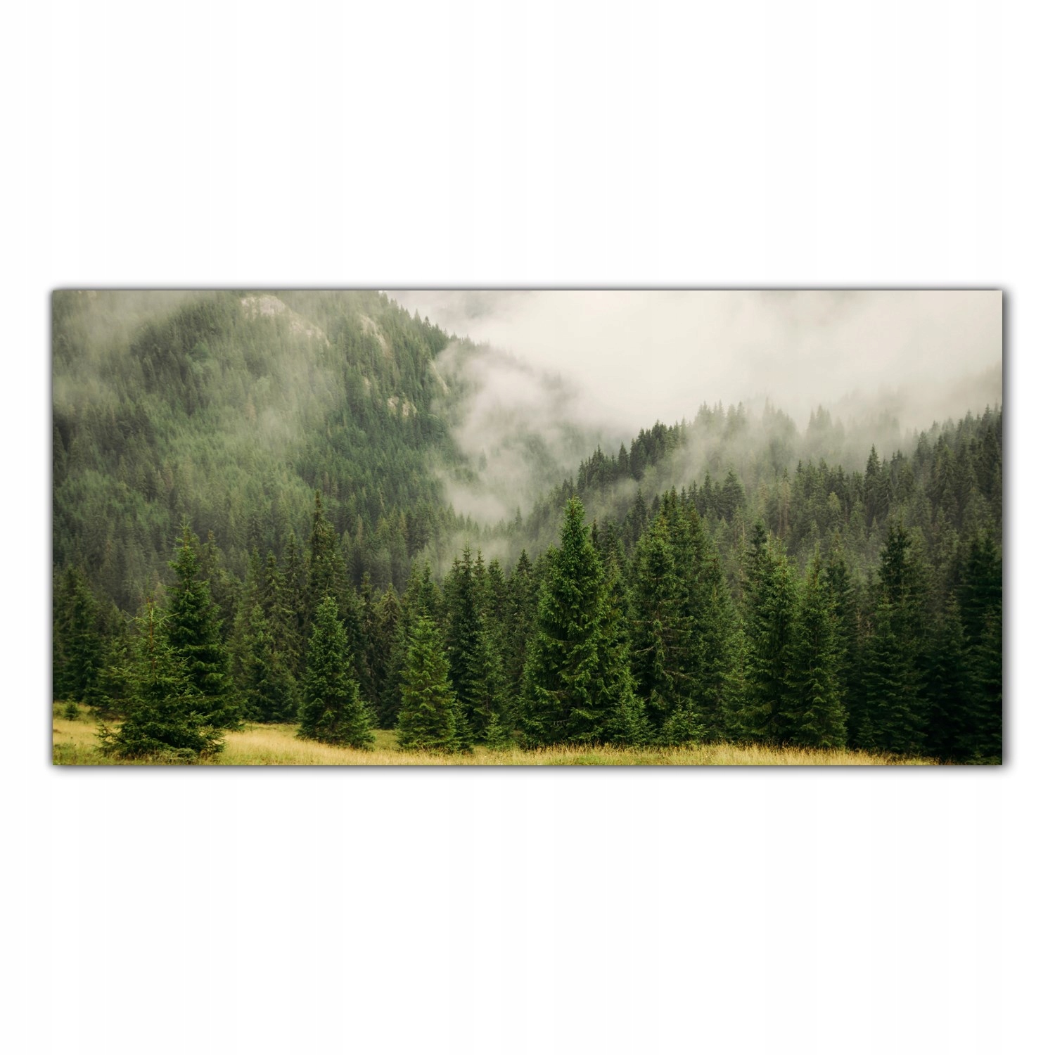 

Obraz Szklany Foto-obraz Drzewa Las Góry 120x60