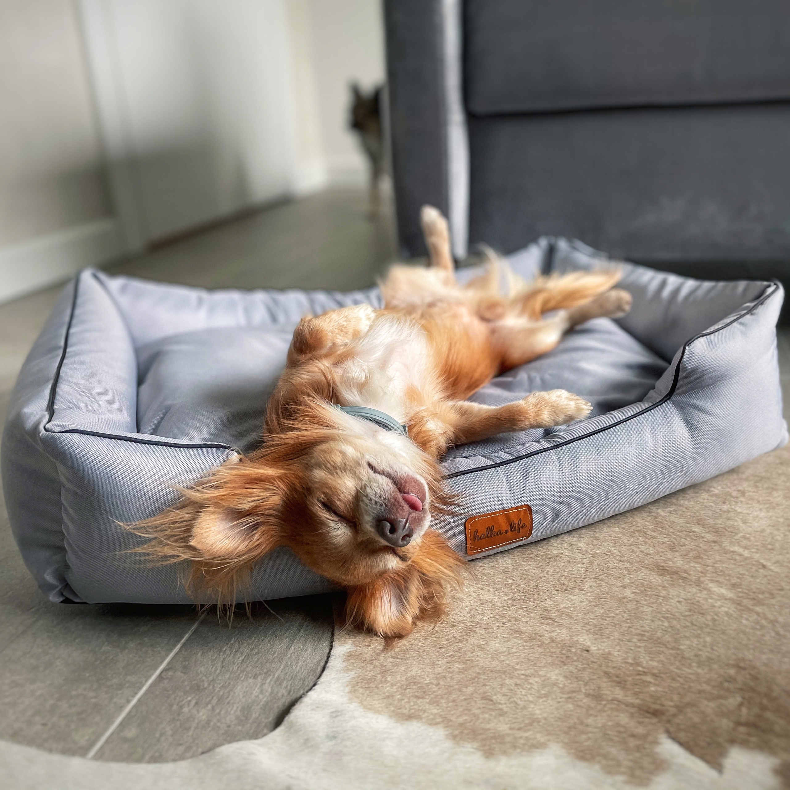 Levně Pelíšek, pelíšek pro psa na terasu, balkon, venku Šedá S (65x45)