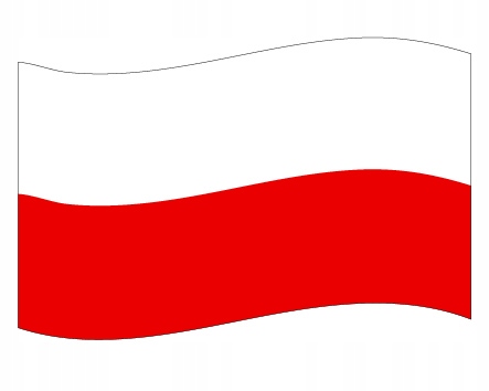 

Magnes Patriotyczny Na Auto lodówkę flaga polska