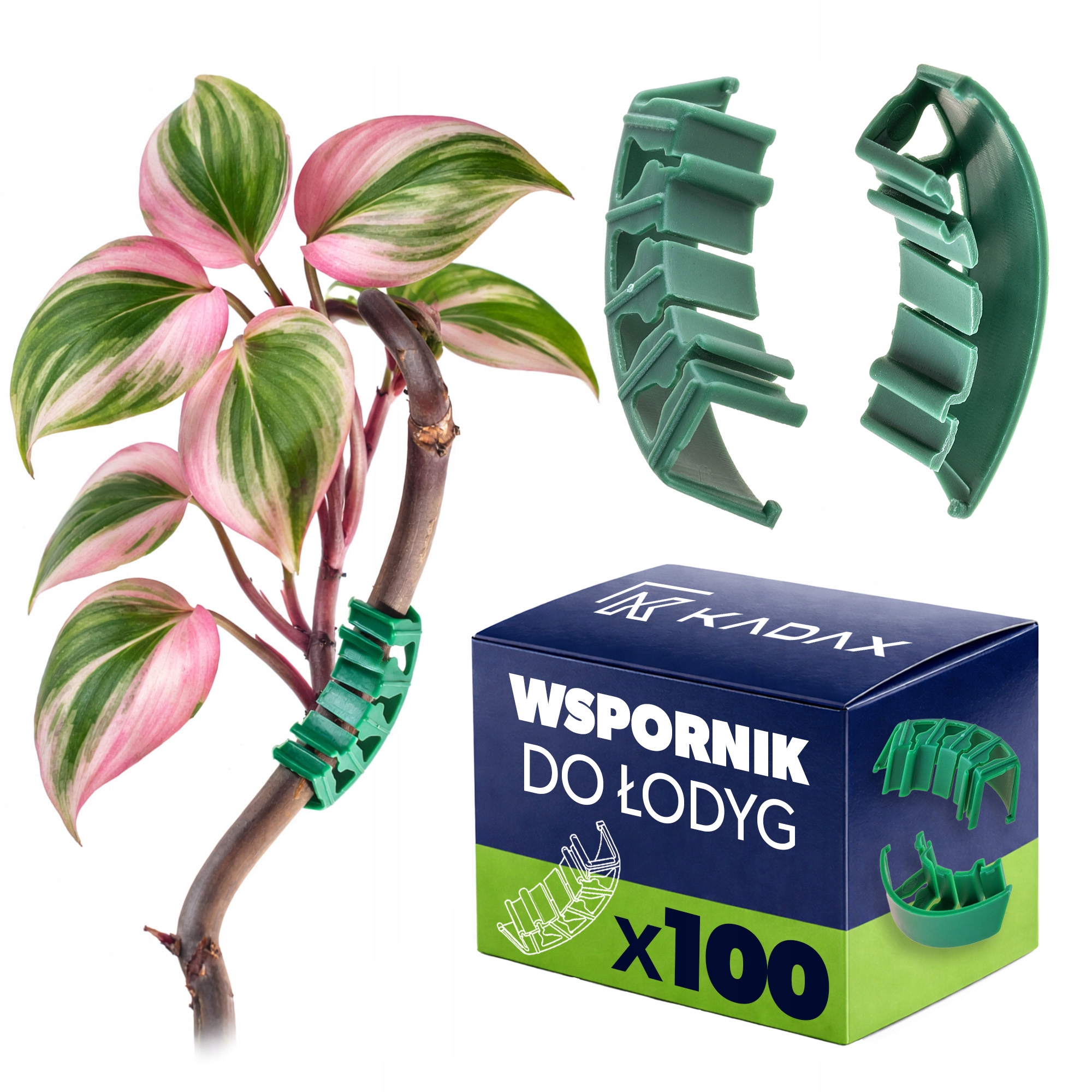 100 SZT ŁUKI DO GRON POMIDORÓW ŁODYG ROŚIN ŁUCZKI KLIPSY PODPORA ZAPINKI