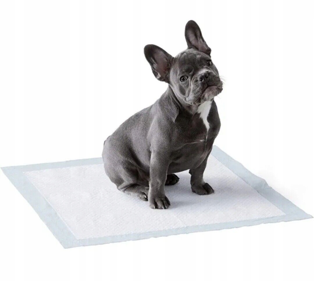 Levně AmazoneBasic rohože pro výuku čistoty hygienické podložky 150 kusů