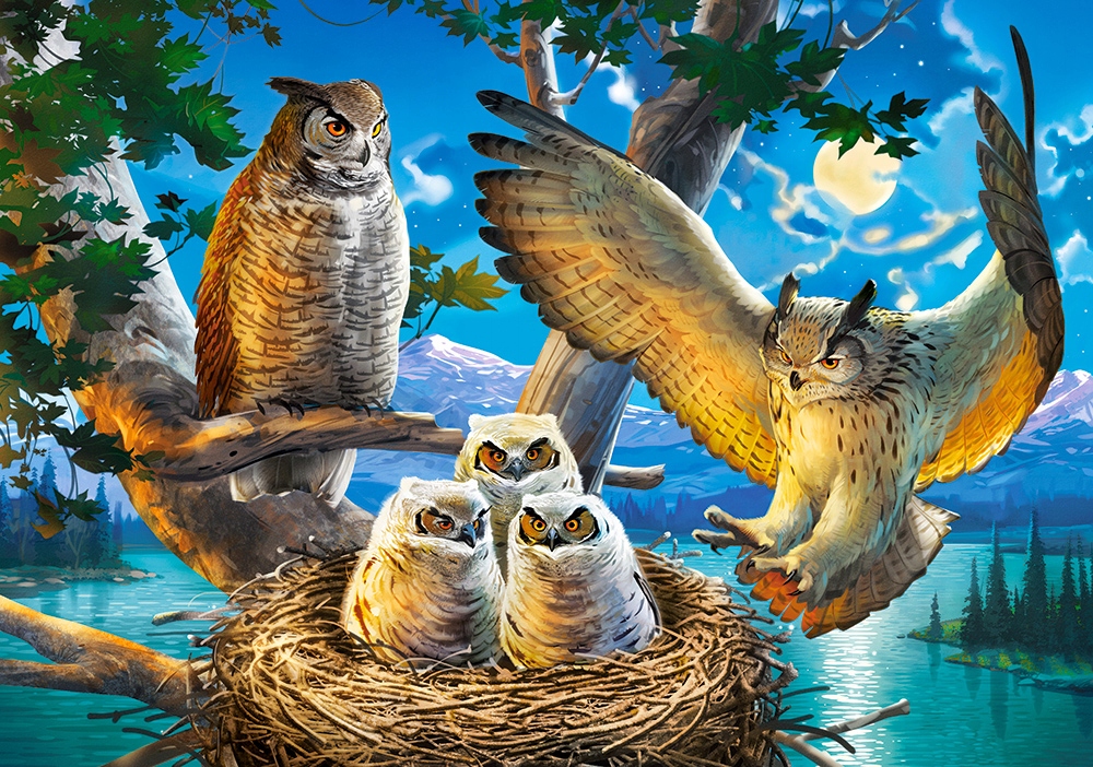 

Puzzle Zwierzęta Sowy Ptaki 9+ 500 El Castor