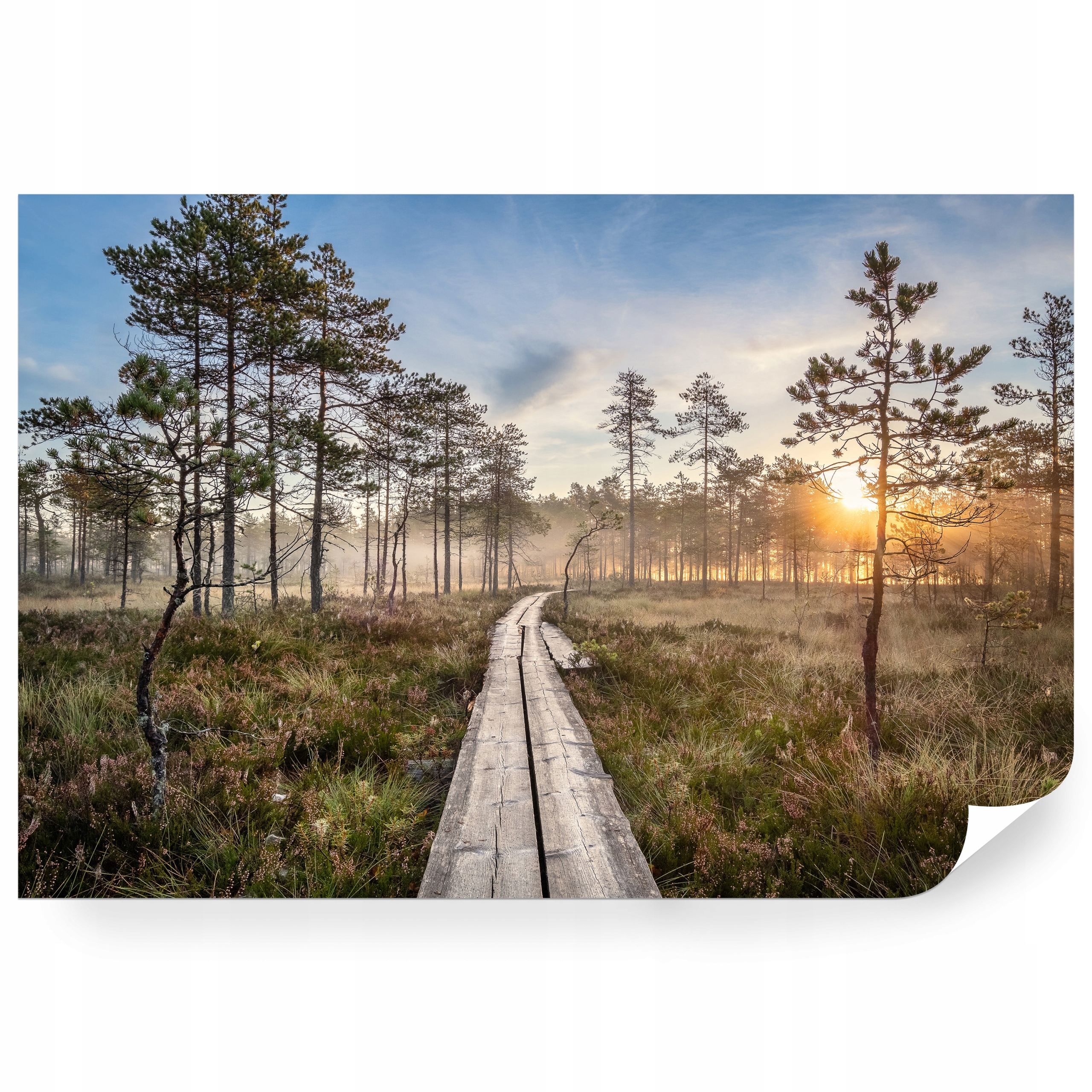 Fototapeta samolepicí Podzimní Východ Slunce Ve Finsku 368 x 280 cm