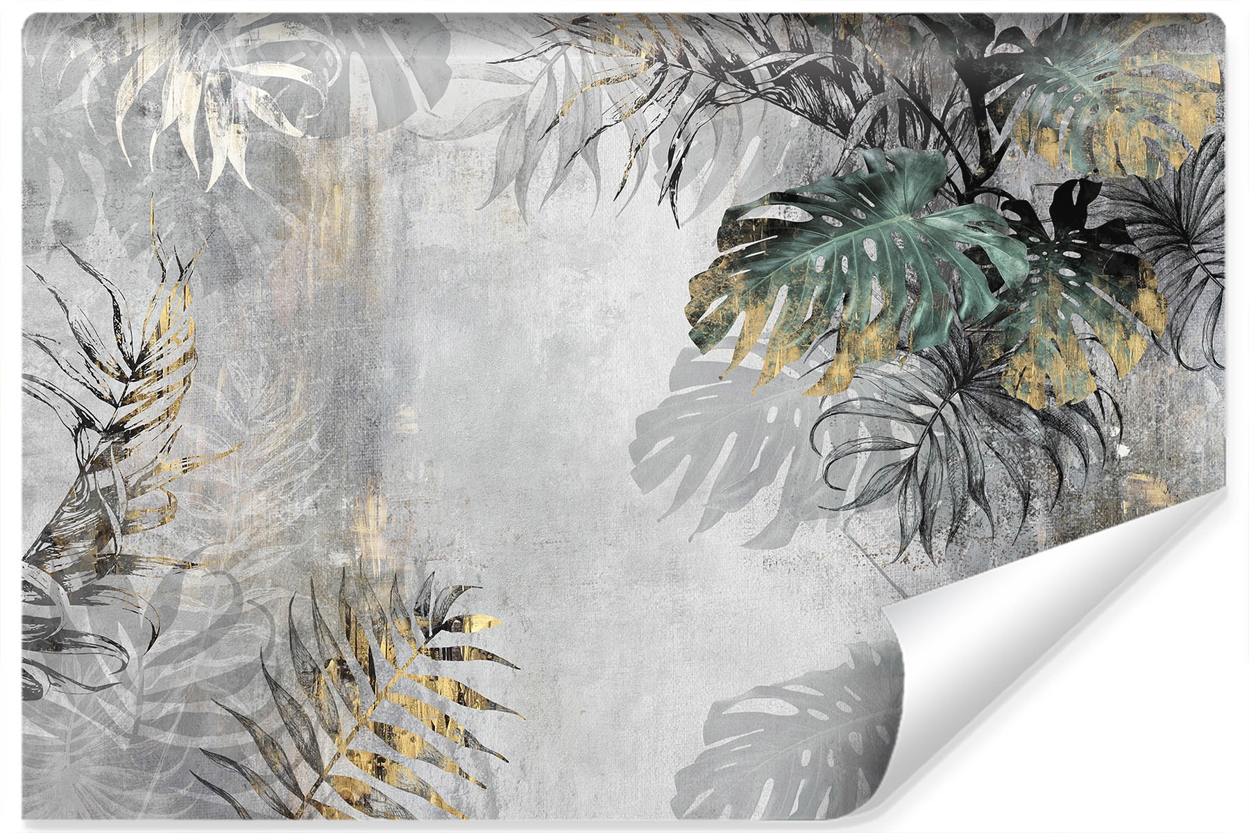 

Fototapeta Liśce Tropikalne Monstera Beton 368x254