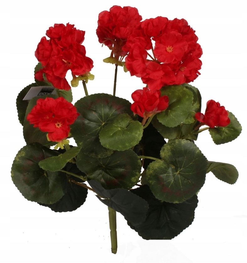 

Czerwona Pelargonia Sztuczna Bukiet 35cm