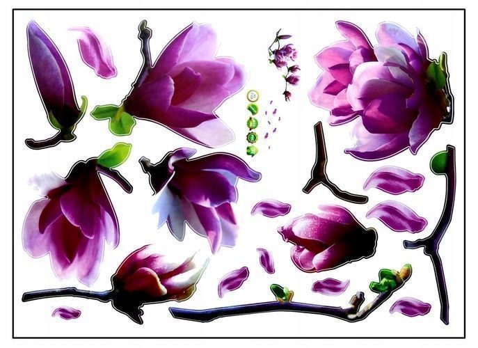 Naklejki na ścianę ścienne Magnolia Orchidea XXL Długość 120 cm