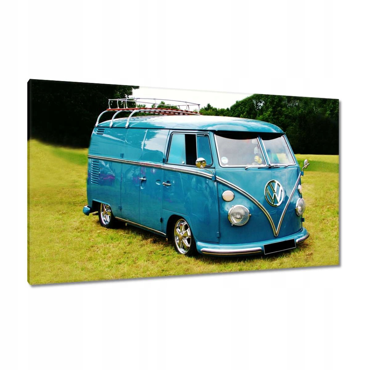 Obrazy 120x70 Okurka Vw