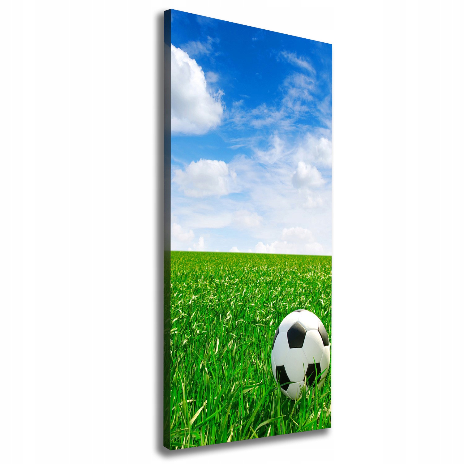 

Foto obraz na płótnie Piłka nożna na łące 50x125cm