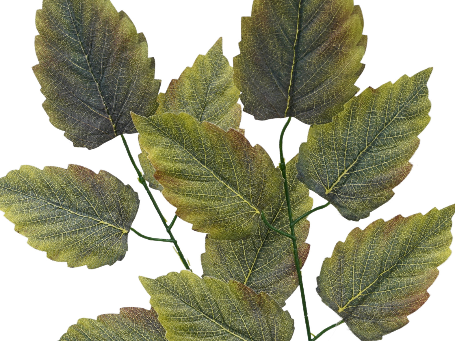 2x PIK MATOWE LIŚCIE DO BUKIETÓW STROIKÓW BRĄZOWE LIŚCIE LIPY ZESTAW 57 CM Stan opakowania oryginalne