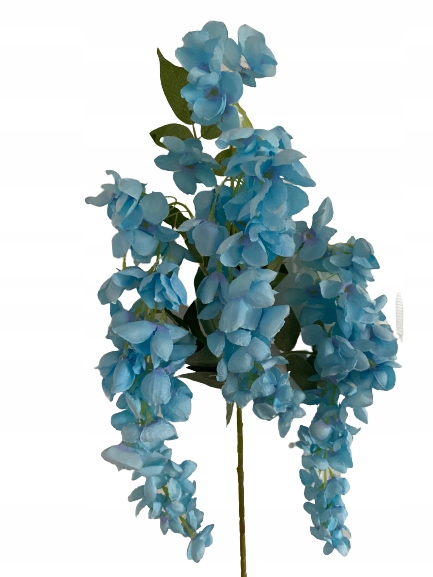 

Wisteria Glicynia girlanda wisząca Złotokap 110cm