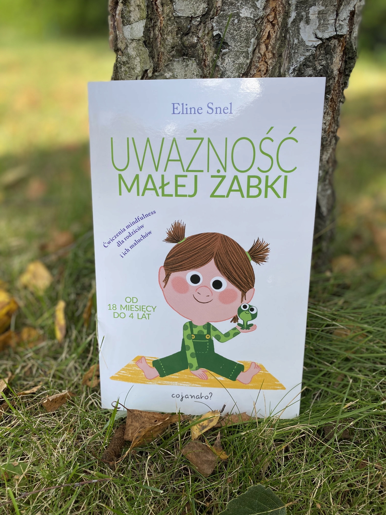 UWAŻNOŚĆ MAŁEJ ŻABKI - Eline Snel ISBN 9788363860431