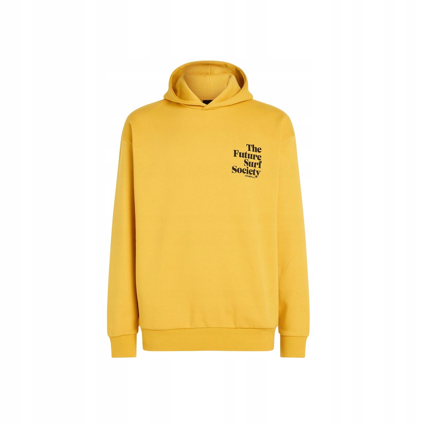Pánská Mikina Future Surf Society Hoodie XL